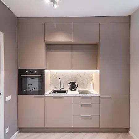 With Jacuzzi, Old Town 公寓 维尔纽斯